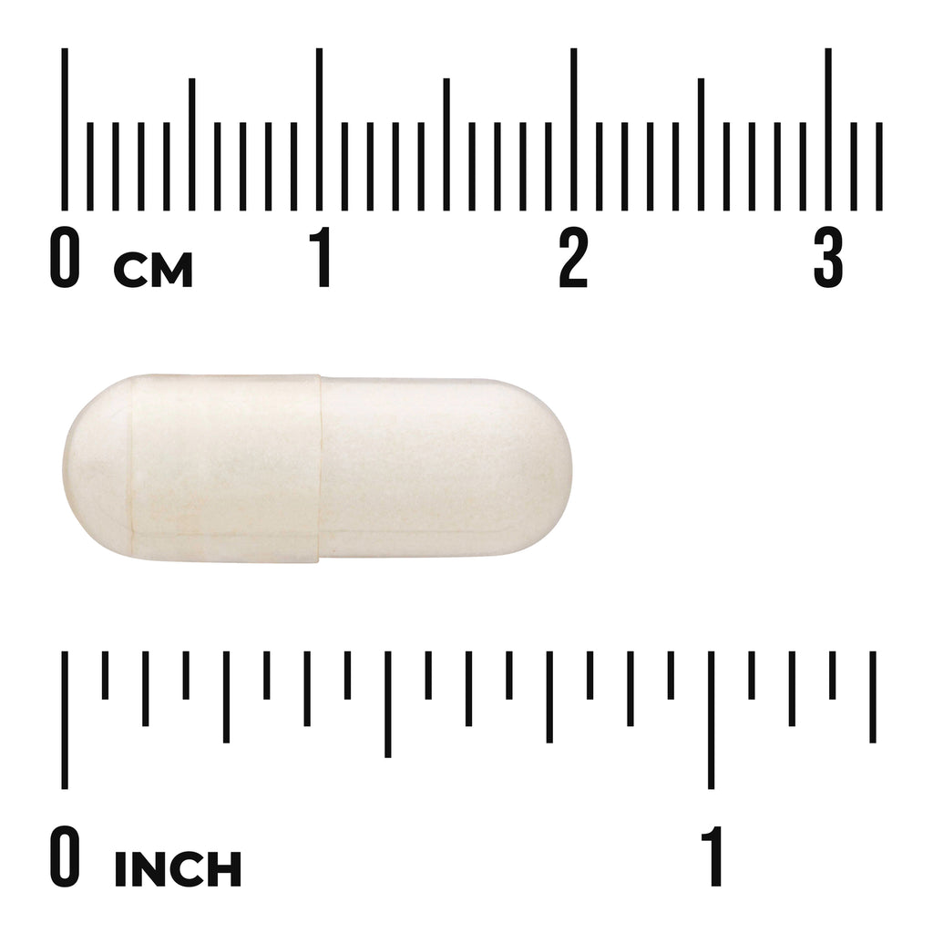SW542 | white capsule pill centered on ruler showing size in centimeters and inches - Thumbnail