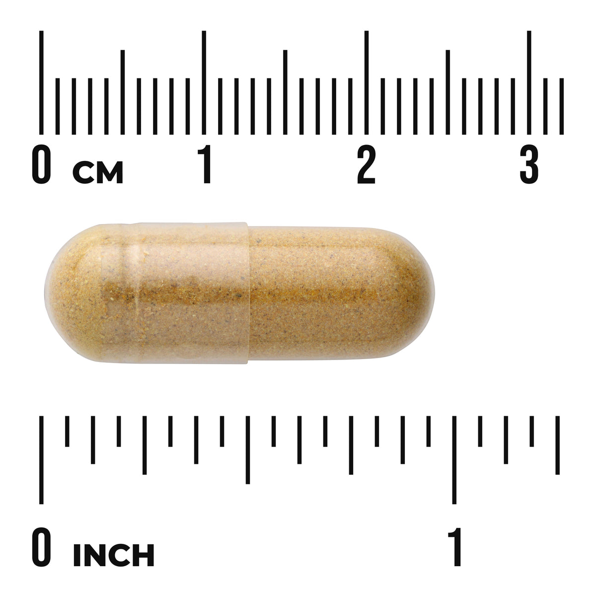 SW1571 | Tan capsule shown with size rulers in centimeters and inches