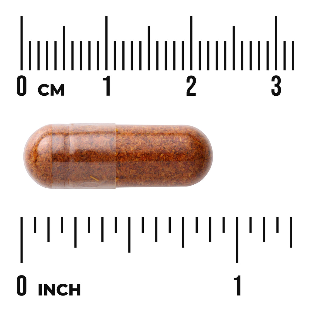 SW503 | Brown capsule with size scale in centimeters and inches - Thumbnail