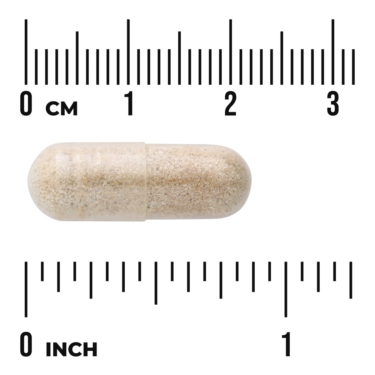 SW1681 | Beige capsule with size scale in centimeters and inches