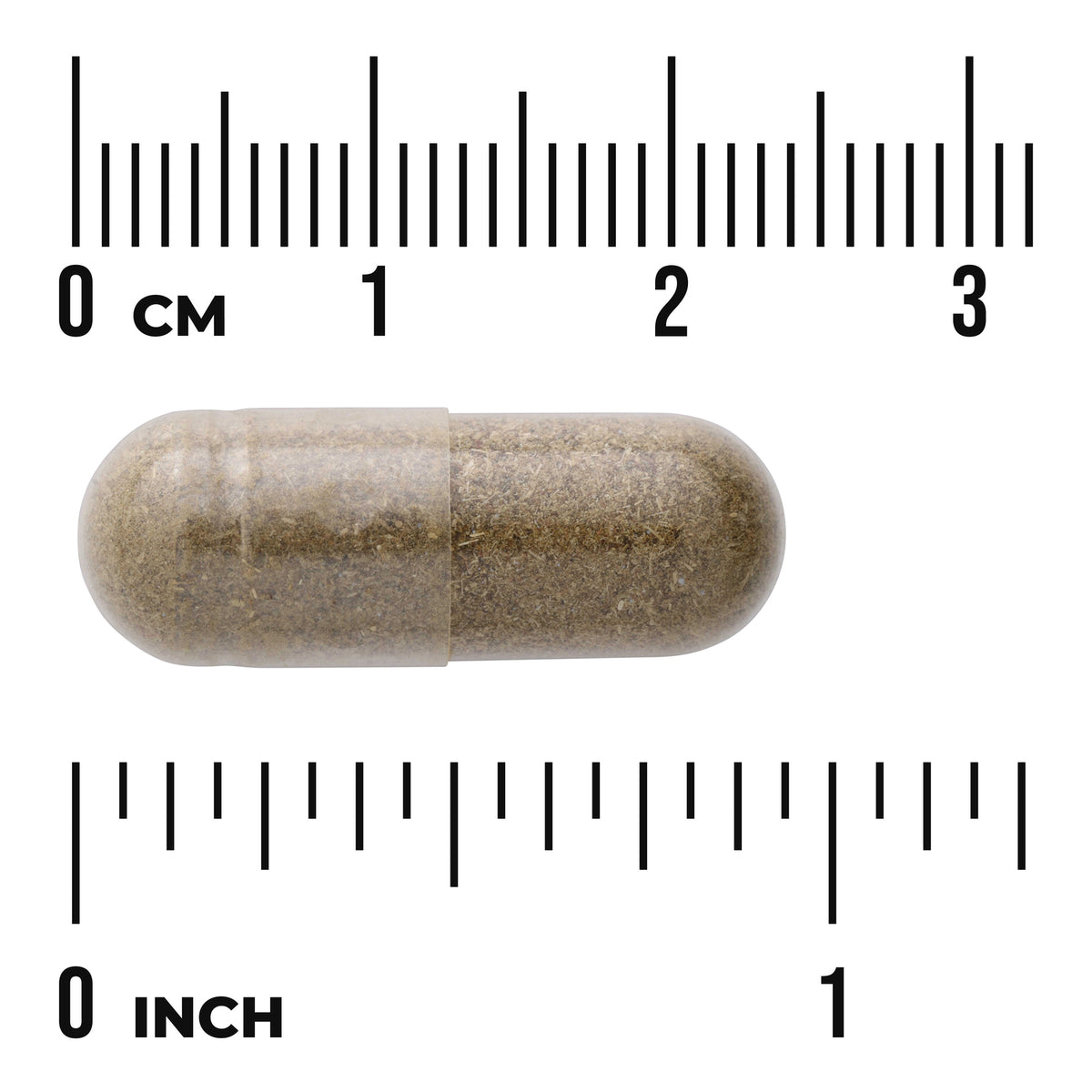 SW1120 | Capsule with brown powder shown next to inch and centimeter rulers
