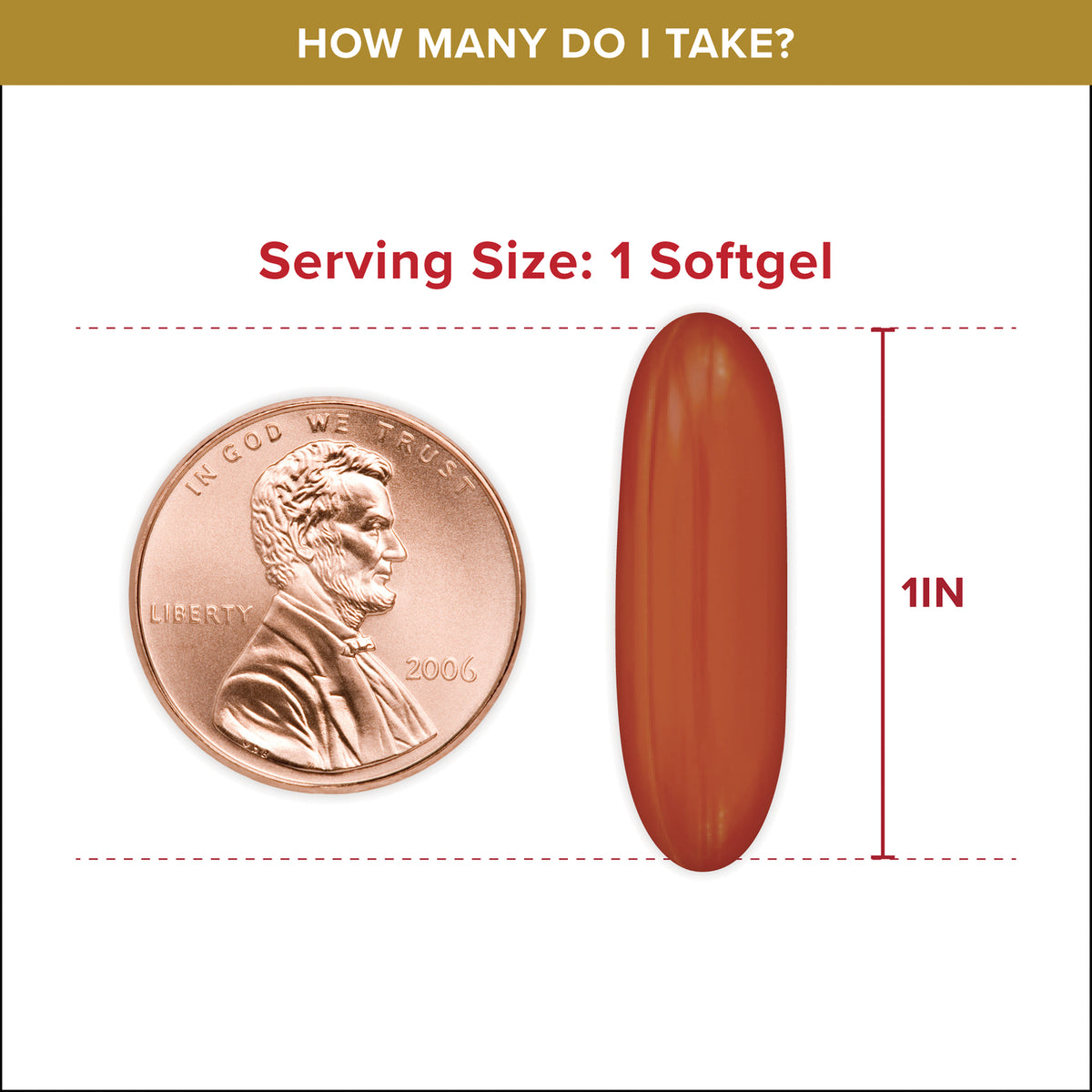 QNL016 | Serving size infographic showing 1 softgel is about 1 inch long beside a penny