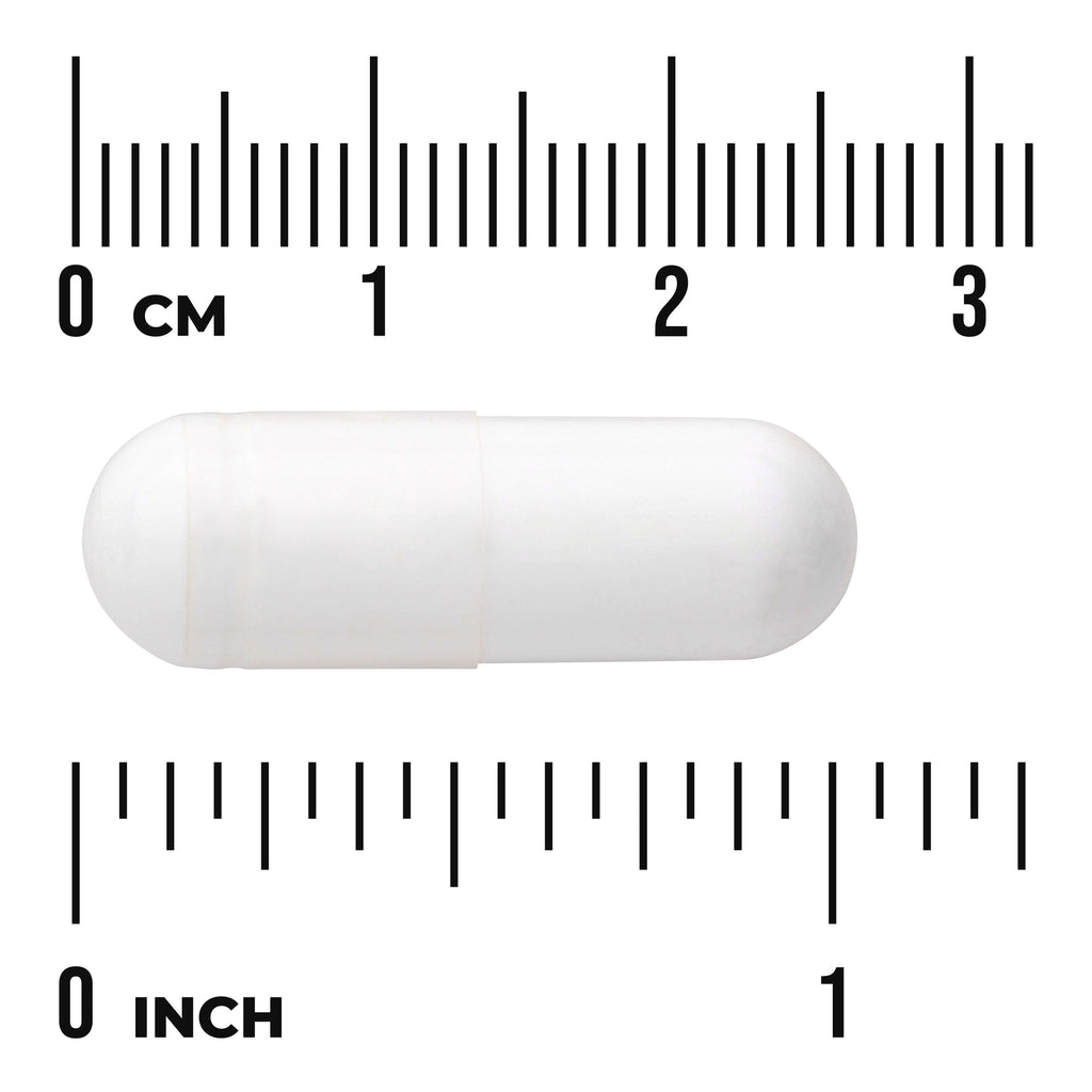 SW866 | White capsule with centimeter and inch rulers for size reference - Thumbnail