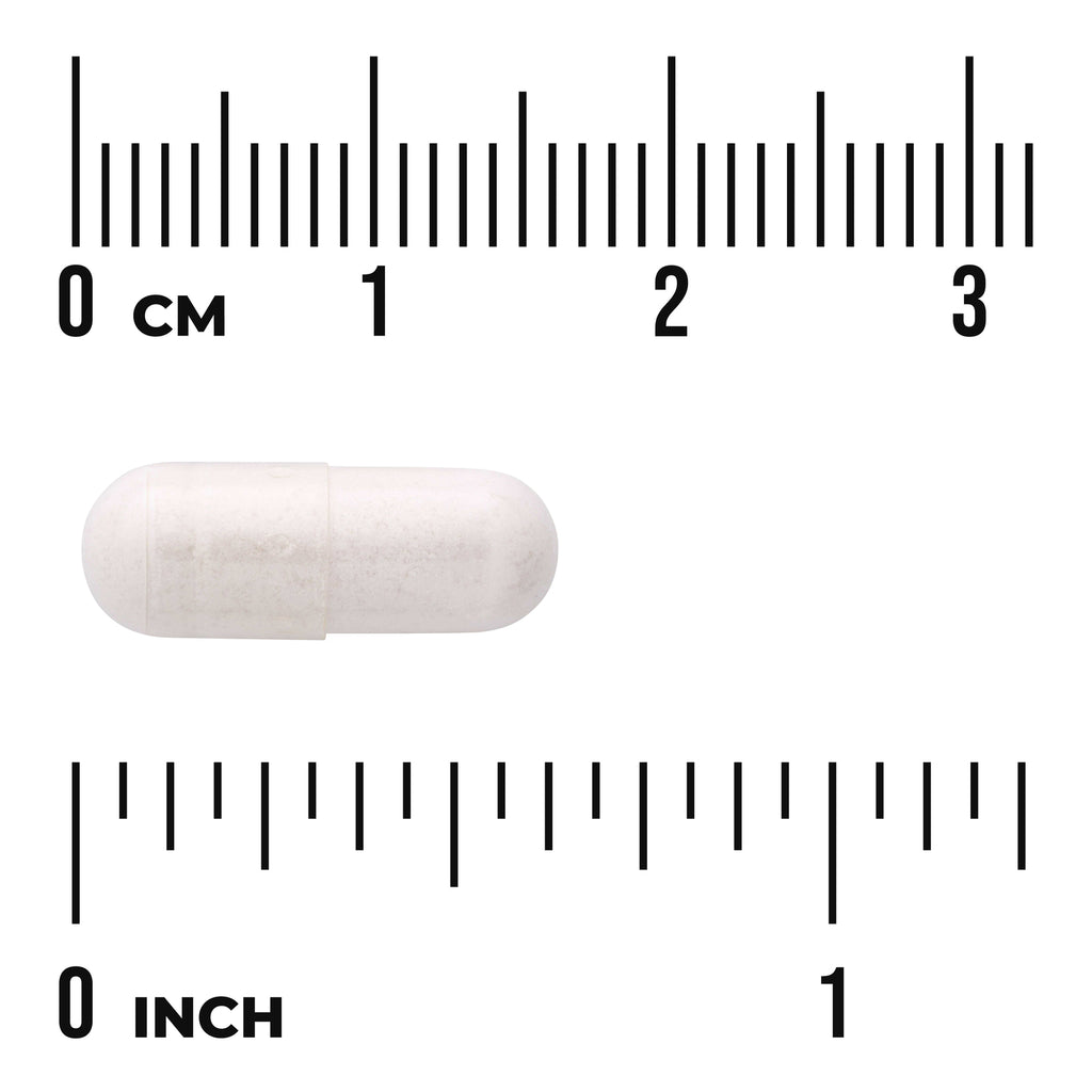 SWU518 | White capsule with centimeter and inch rulers for size reference - Thumbnail