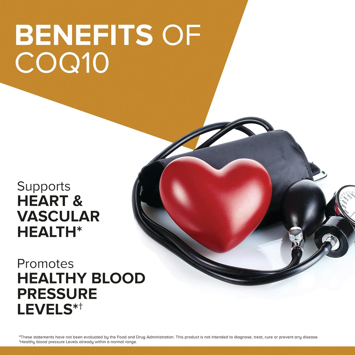 QNL005 | Benefits of CoQ10 infographic showing heart and vascular health and healthy blood pressure levels