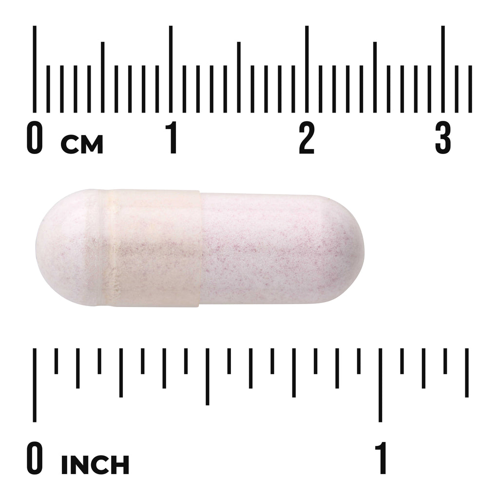 SW1812 | Capsule size shown with cm and inch ruler - Thumbnail