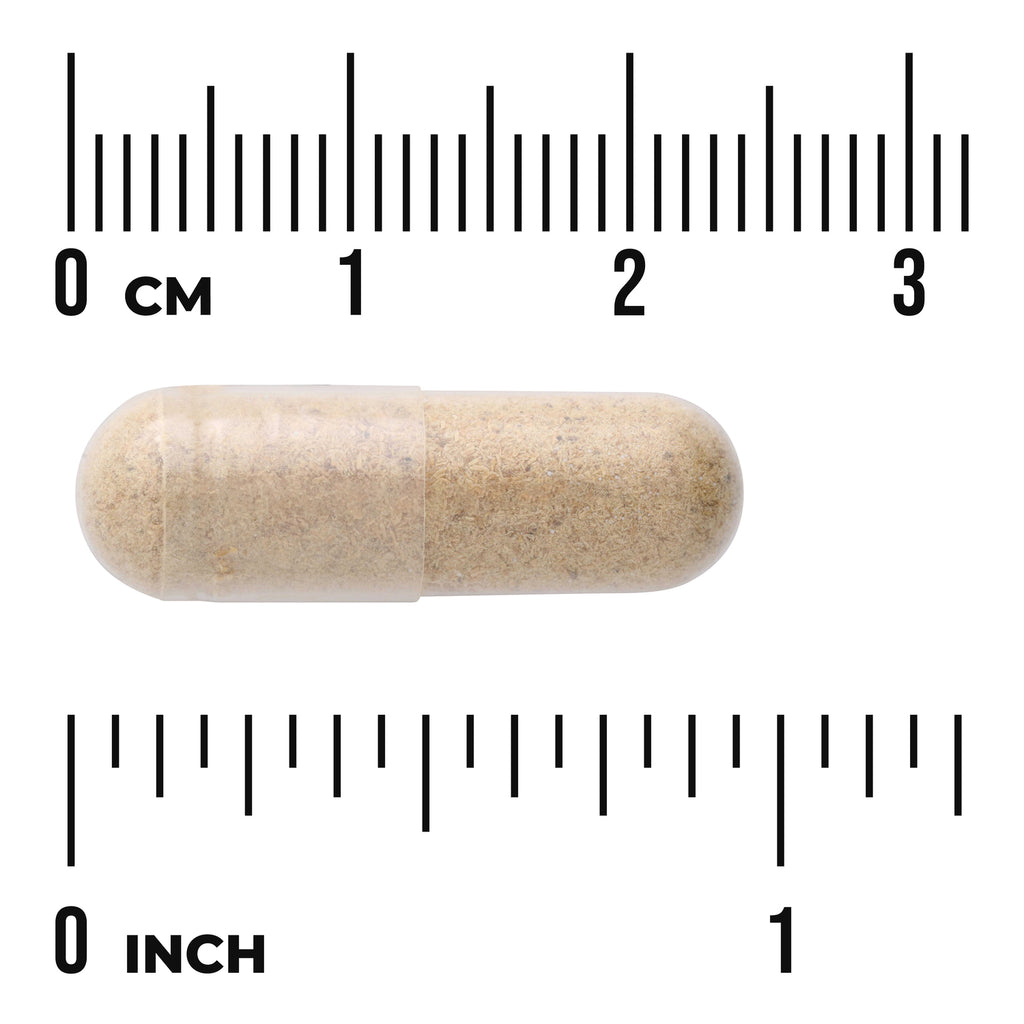 SW1133 | Capsule size reference with rulers in cm and inches - Thumbnail