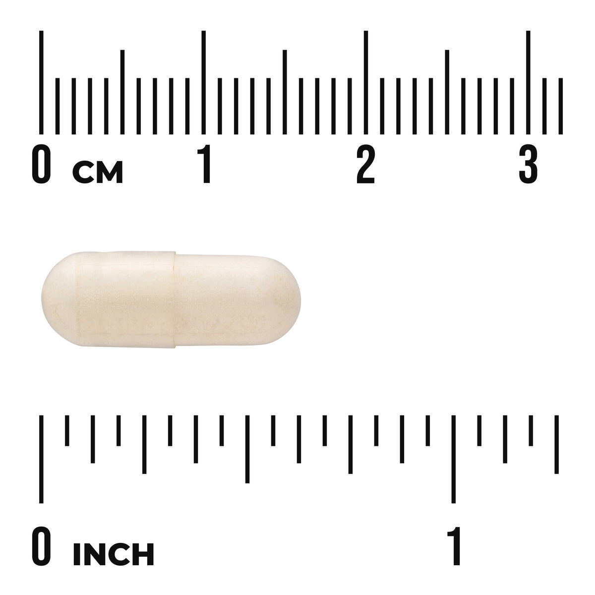 SW1211 | Capsule size shown with centimeter and inch rulers