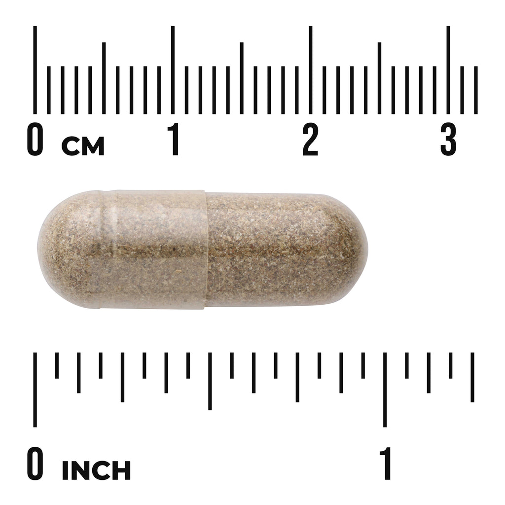 SW1342 | Clear gelatin capsule filled with brown powder on white background with centimeter and inch rulers - Thumbnail