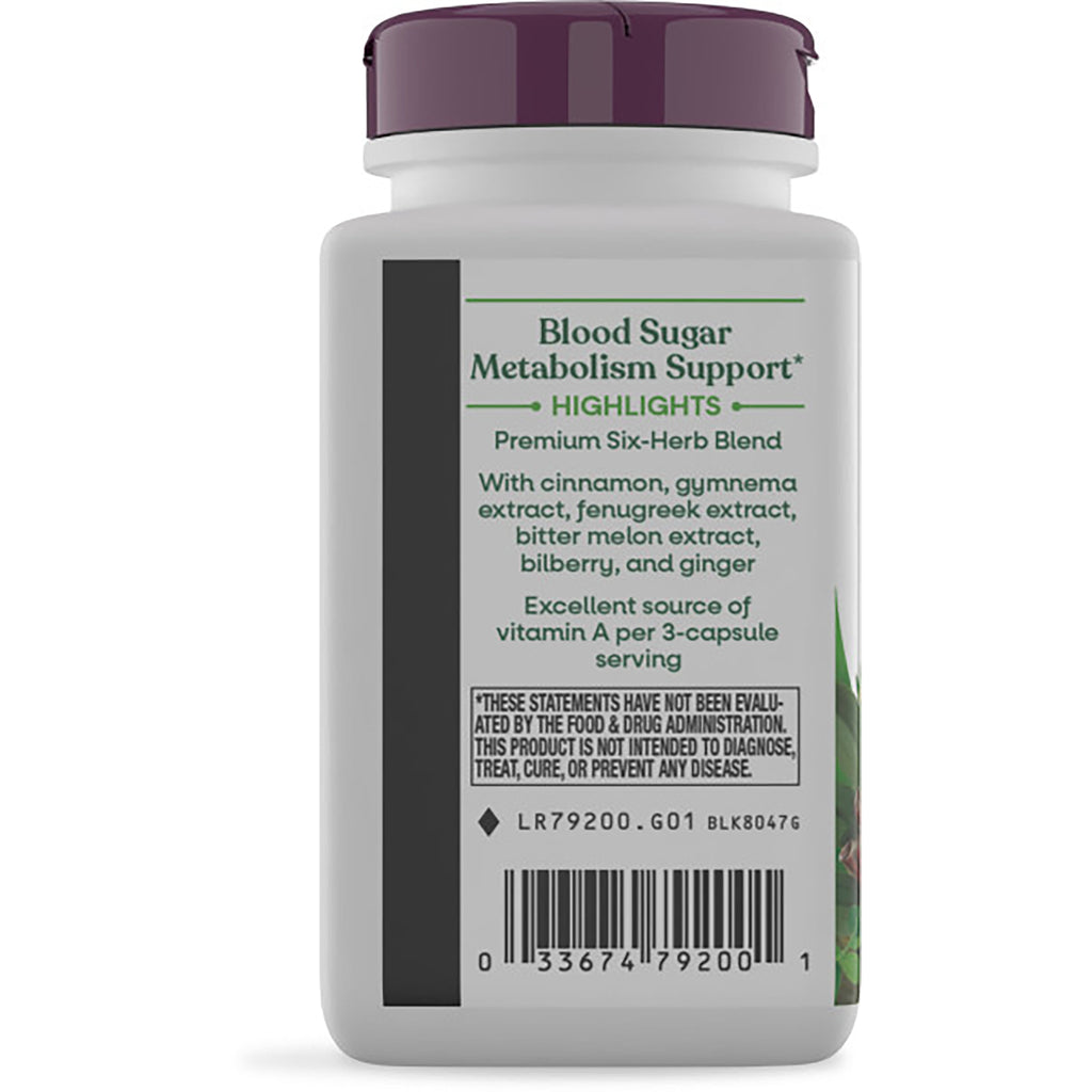 NW579 | Back label of supplement bottle showing Blood Sugar Metabolism Support text, ingredients list and barcode - Thumbnail