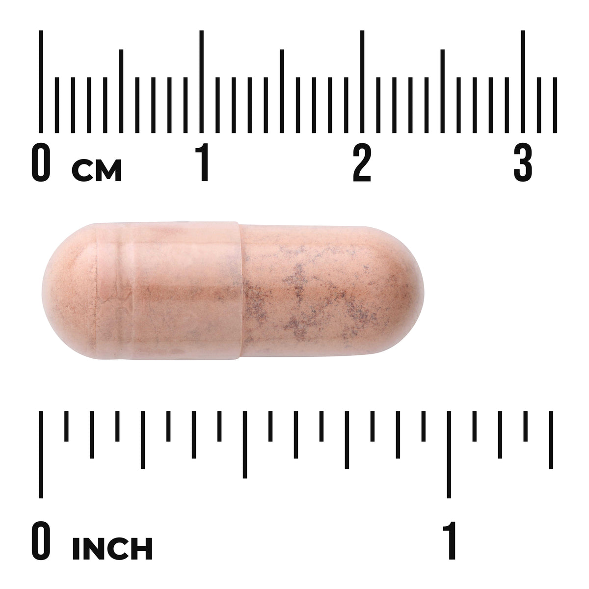 SWU249 | Beige capsule on white background with centimeter and inch rulers showing about 2.5 cm length