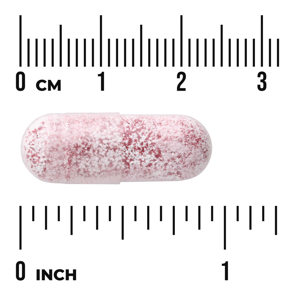 SW1922 | Pink speckled capsule against rulers showing approximate size: about 1 inch / 3 cm - Thumbnail