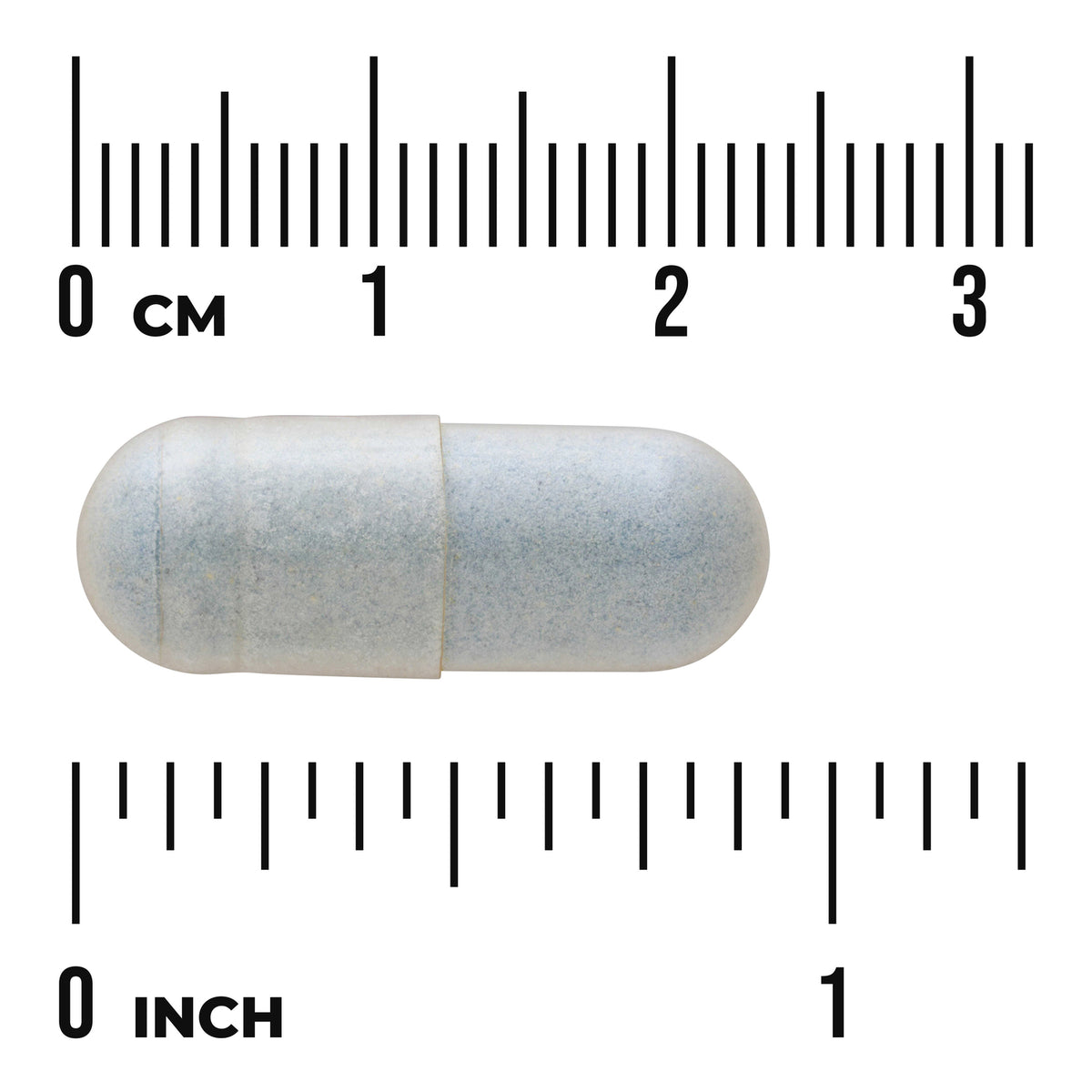 SWU801 | Gray oval capsule on metric and inch rulers showing about 2.5 cm (1 inch) length