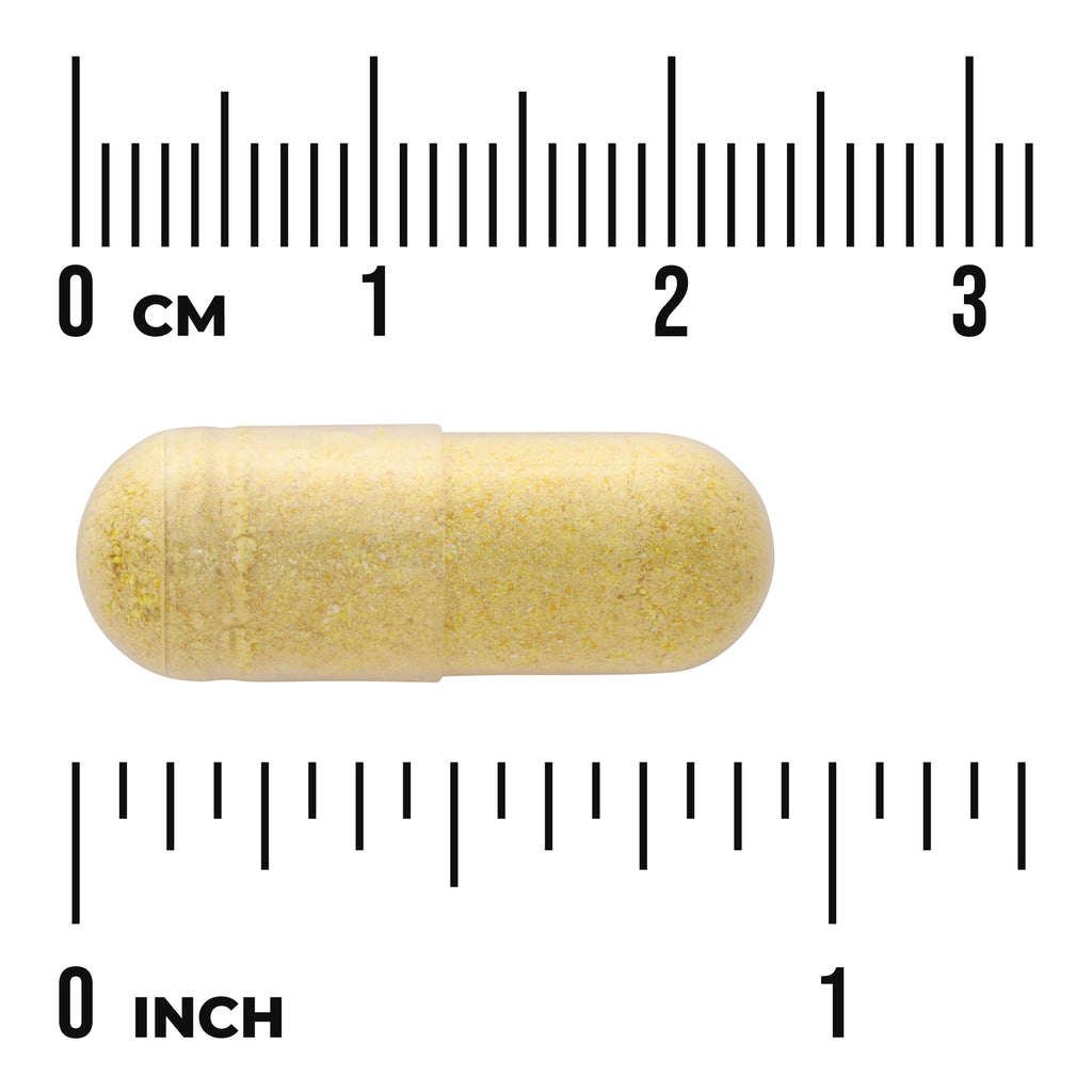 SWU1040 | Capsule form with size reference next to cm and inch rulers - Thumbnail