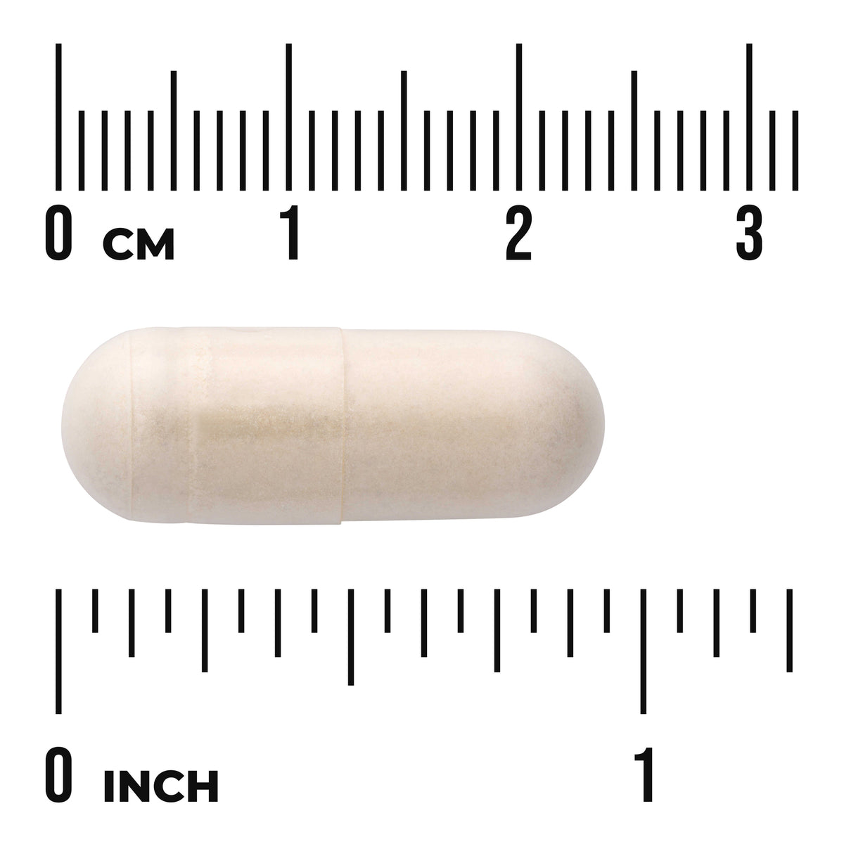 SWC082 | Capsule size reference with 03 cm and 01 inch rulers