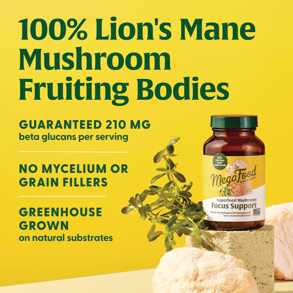 MGF137 | product infographic showing MegaFood Focus Support bottle and text: 100% Lion's Mane fruiting bodies, guaranteed 210 mg, no mycelium or grain fillers - Thumbnail