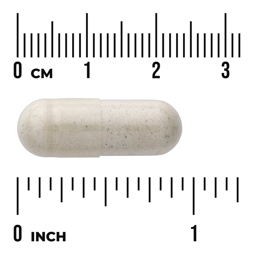 SWU685 | White speckled capsule centered on ruler showing about 2.5 cm length with cm and inch markings - Thumbnail