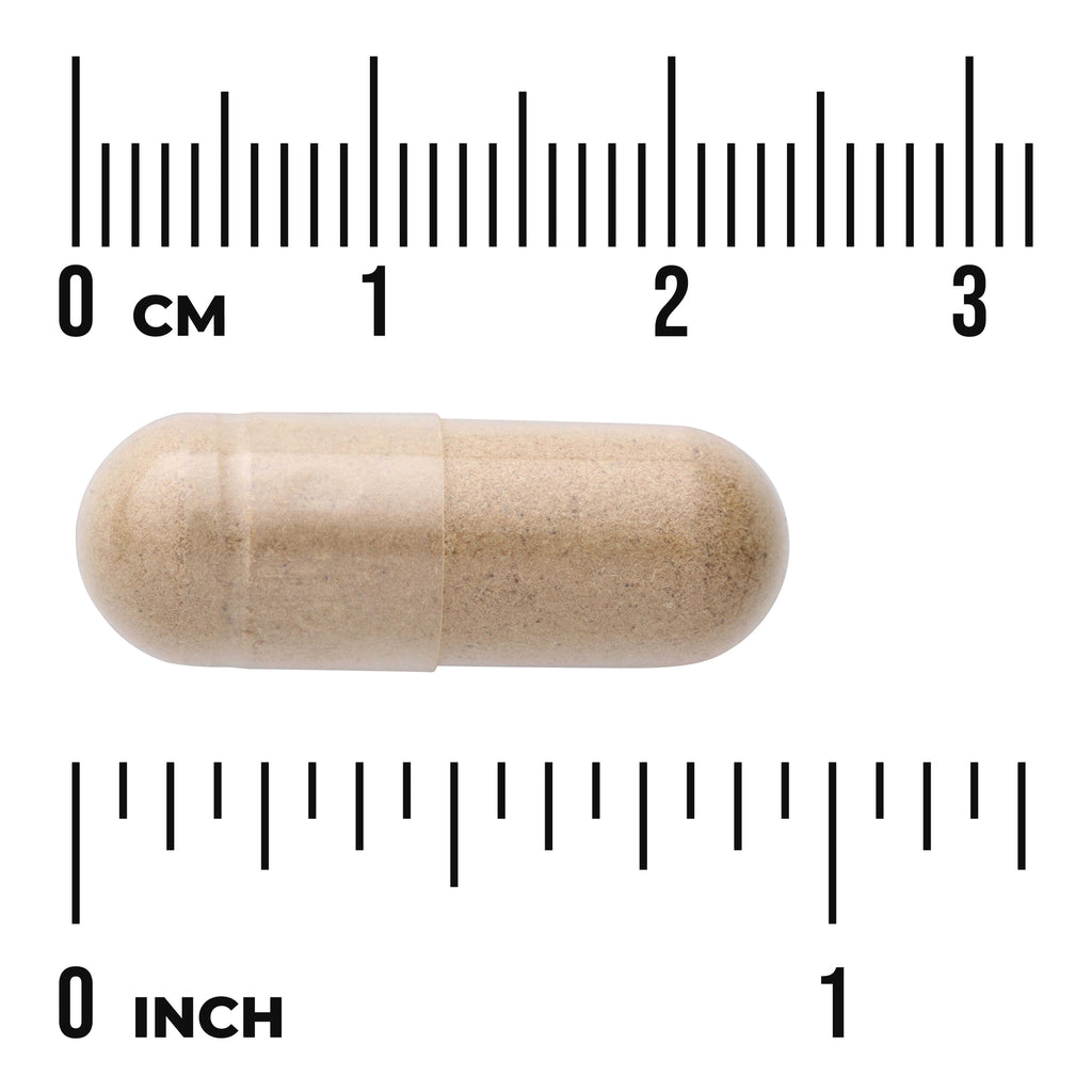 SW415 | Beige capsule with ruler scale labeled CM and INCH - Thumbnail