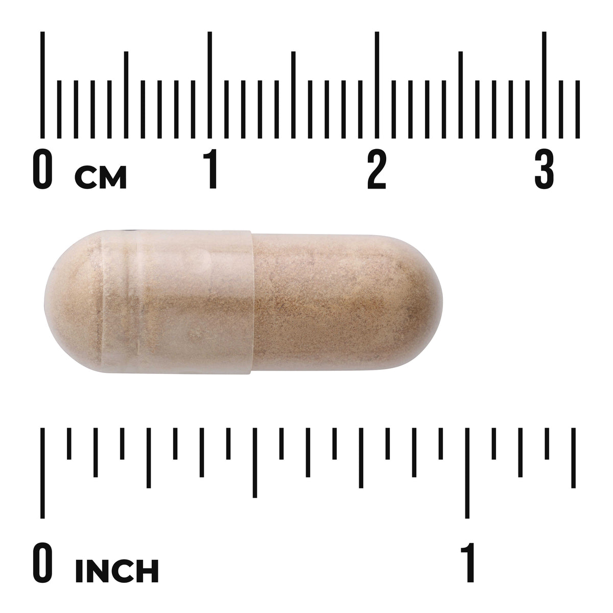 SWP022 | Beige capsule with size reference against cm and inch rulers