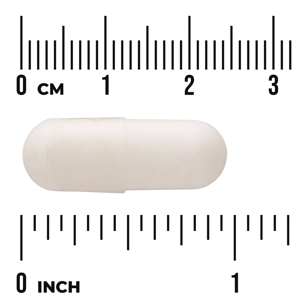 SWU479 | White capsule with size shown against cm and inch rulers - Thumbnail