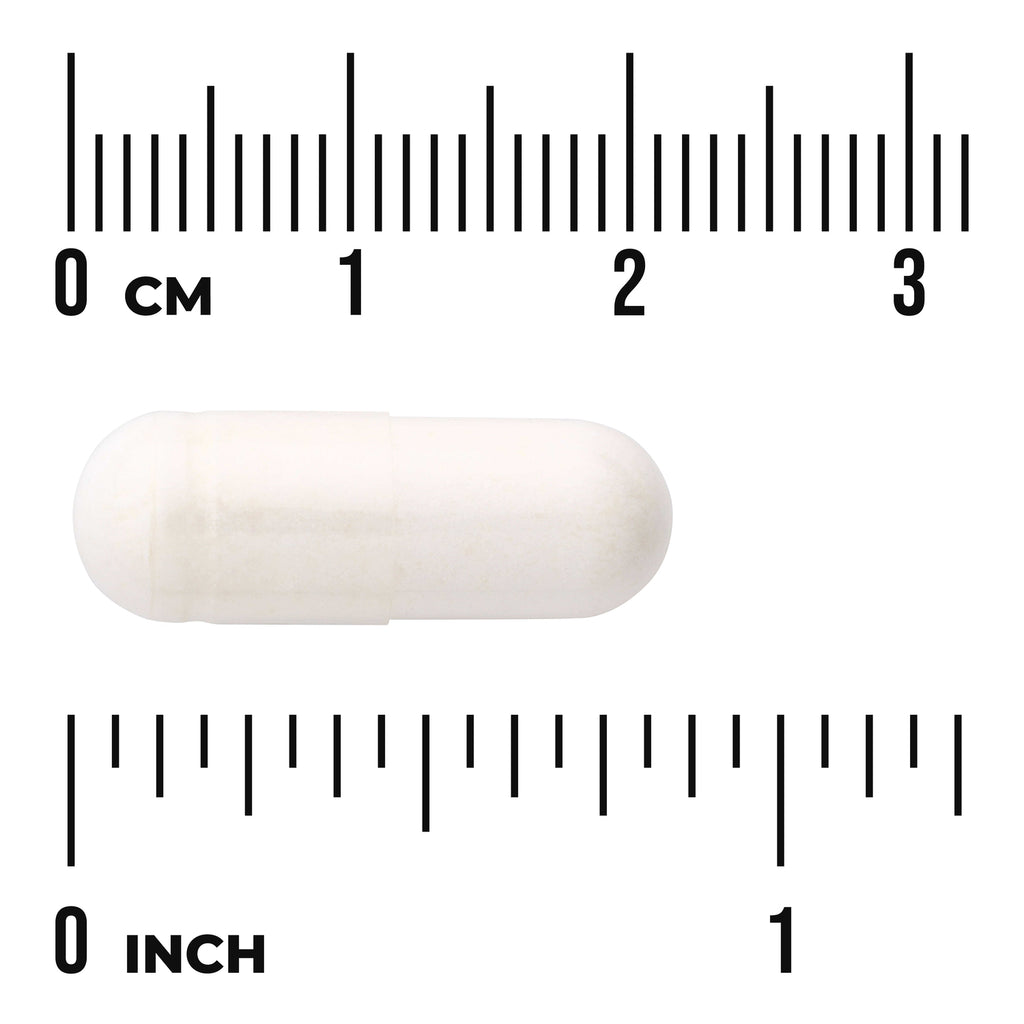 SW1521 | White capsule with size ruler in centimeters and inches for scale - Thumbnail