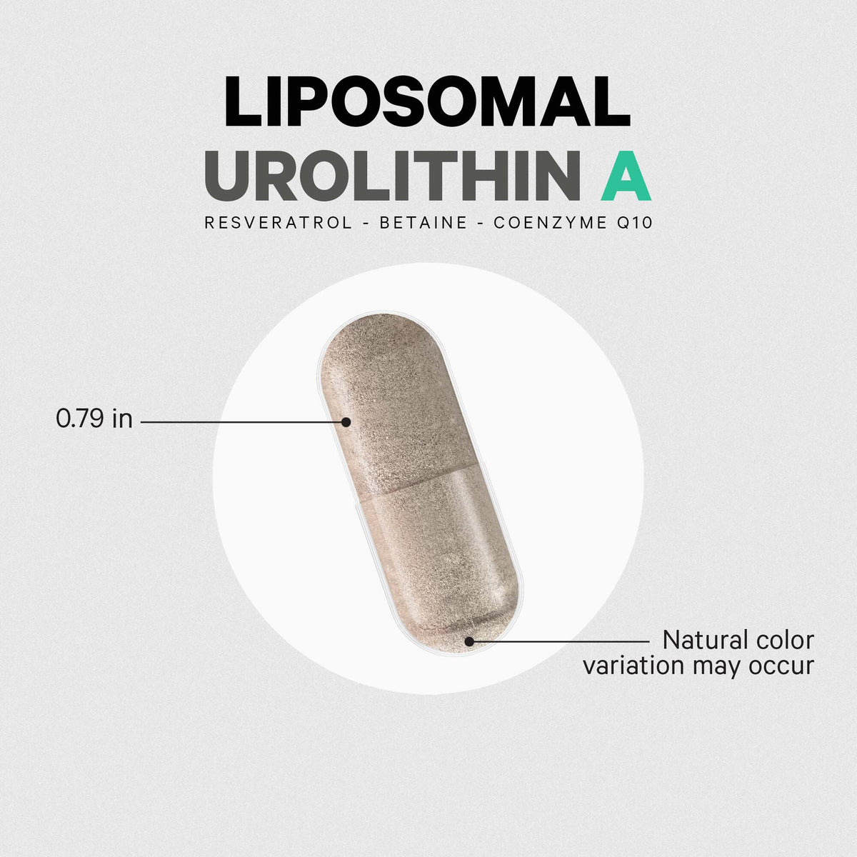 CDG020 | Liposomal Urolithin A capsule 0.79 in long, natural color variation may occur