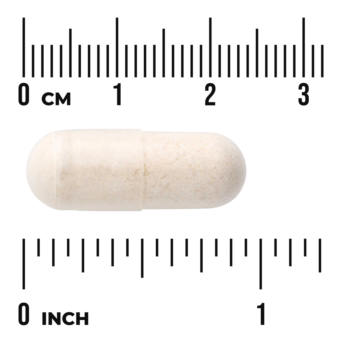 SWH010 | Beige capsule shown next to centimeter and inch rulers for size reference