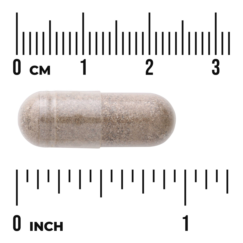 SWH069 | Capsule size shown against rulers in centimeters and inches - Thumbnail