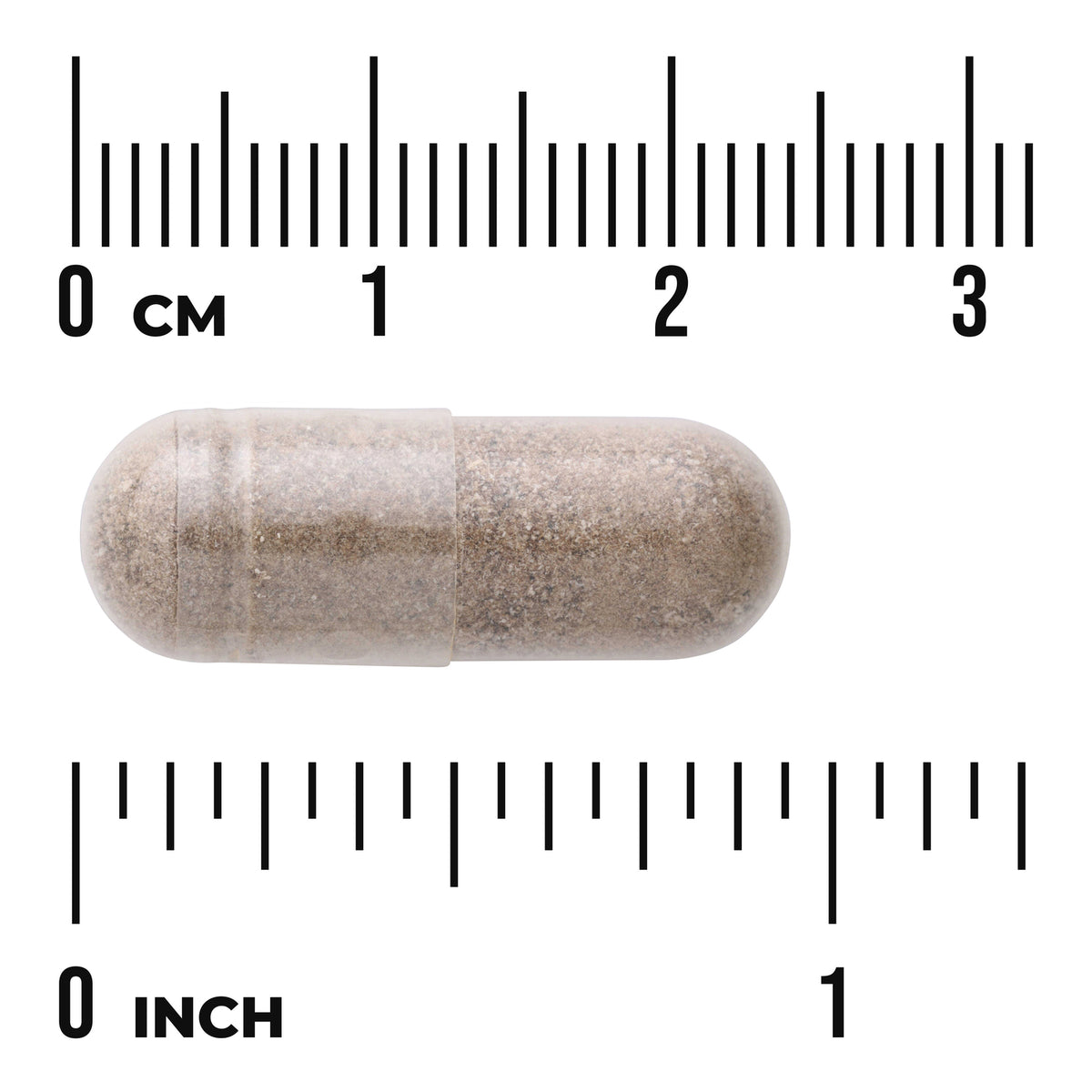 SWH069 | Capsule size shown against rulers in centimeters and inches