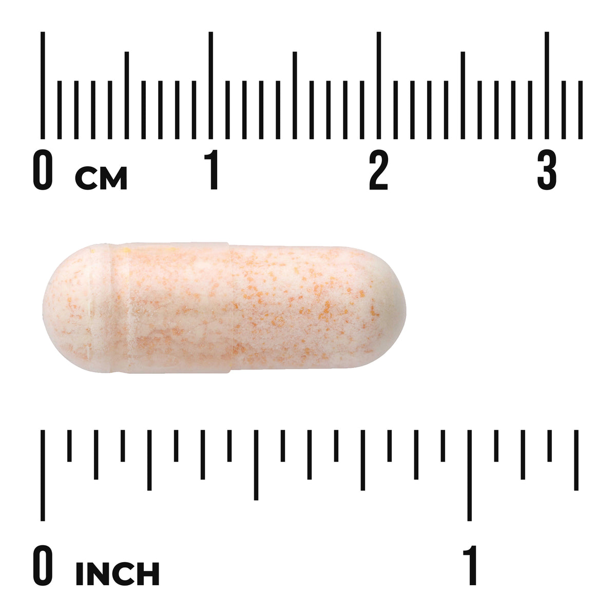 SWU365 | Capsule shown against centimeter and inch rulers for size