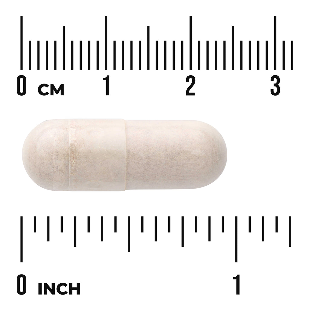 SW1704 | Beige capsule with ruler size guide in centimeters and inches, labeled CM and INCH - Thumbnail