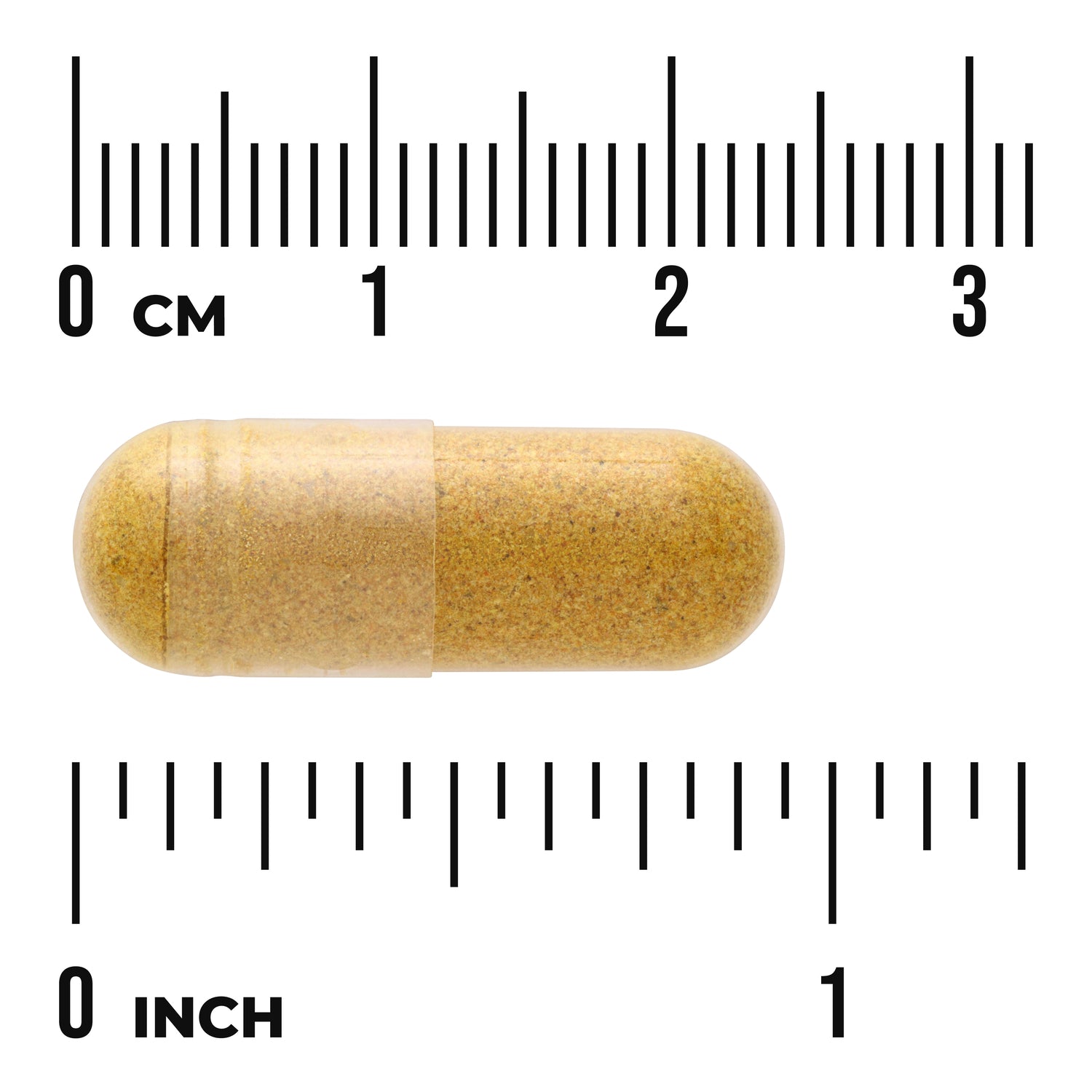 SW1586 | Clear gelatin capsule filled with brown powder photographed on rulers showing 0 cm and 0 inch for size reference