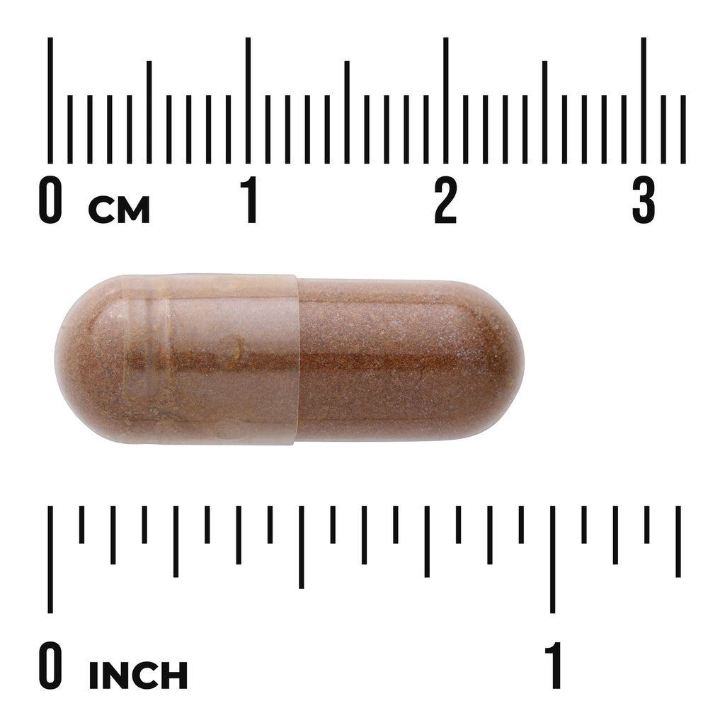 SW1036 | Brown capsule with size shown against inch and cm rulers - Thumbnail