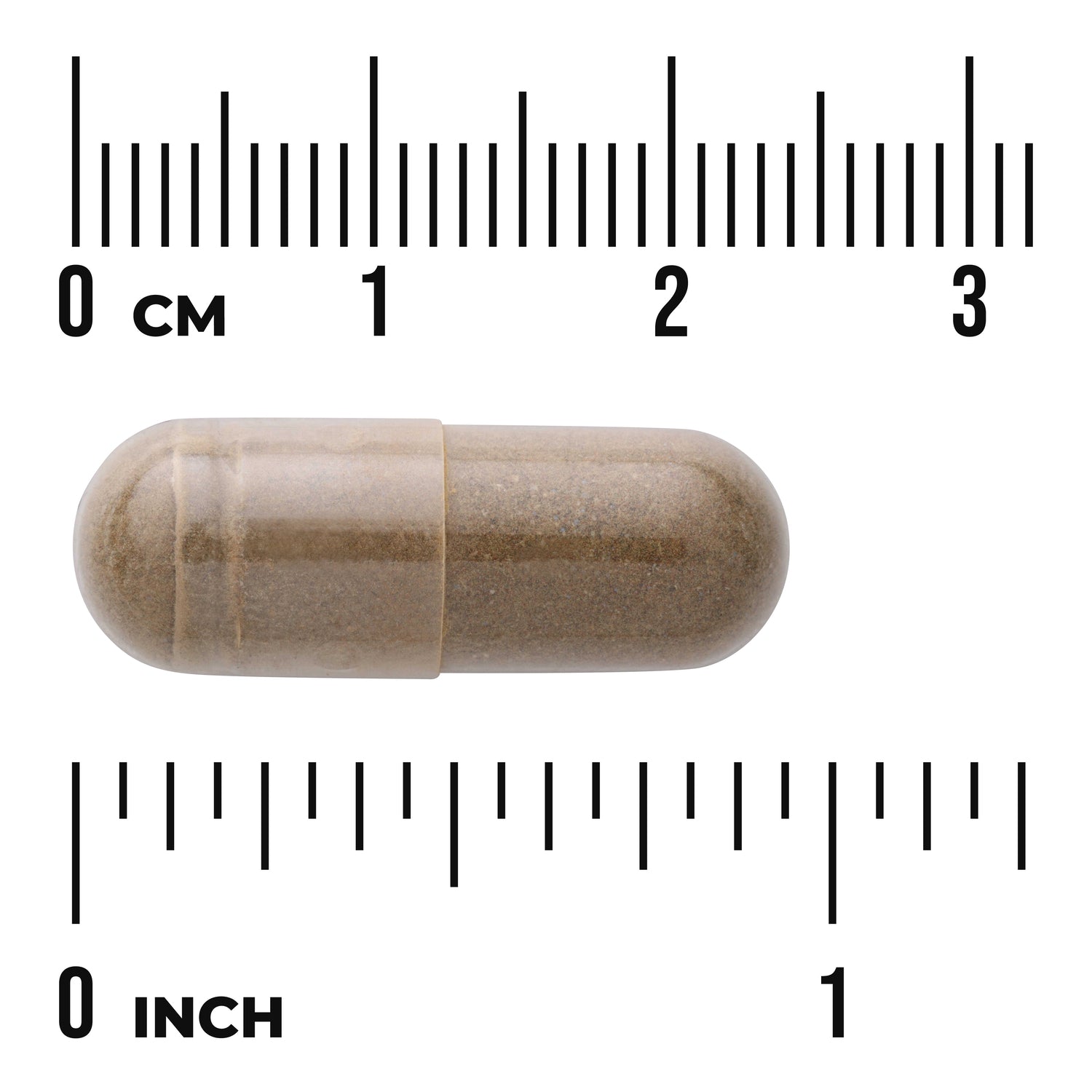 SWH107 | Brown capsule with size scale in centimeters and inches