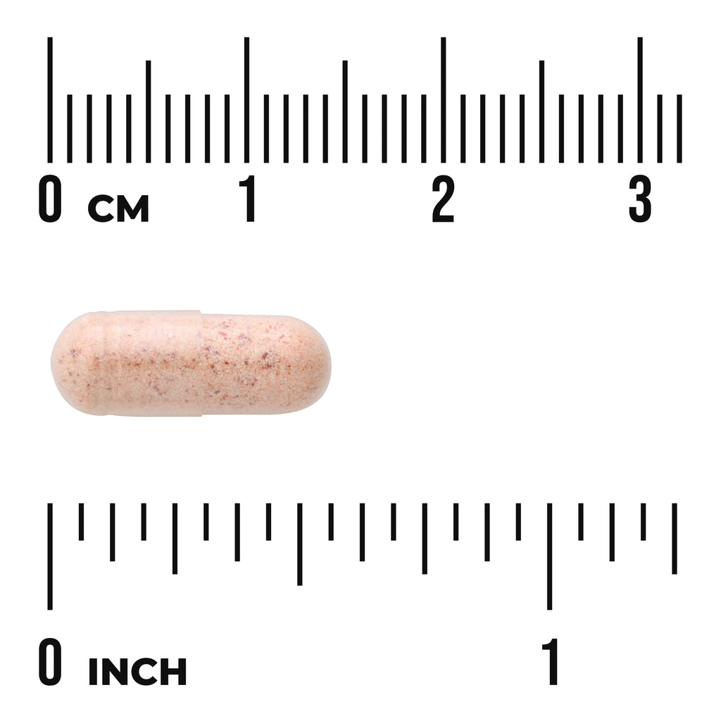 SW1370 | Beige speckled capsule on centimeter and inch rulers showing about 1 inch length - Thumbnail