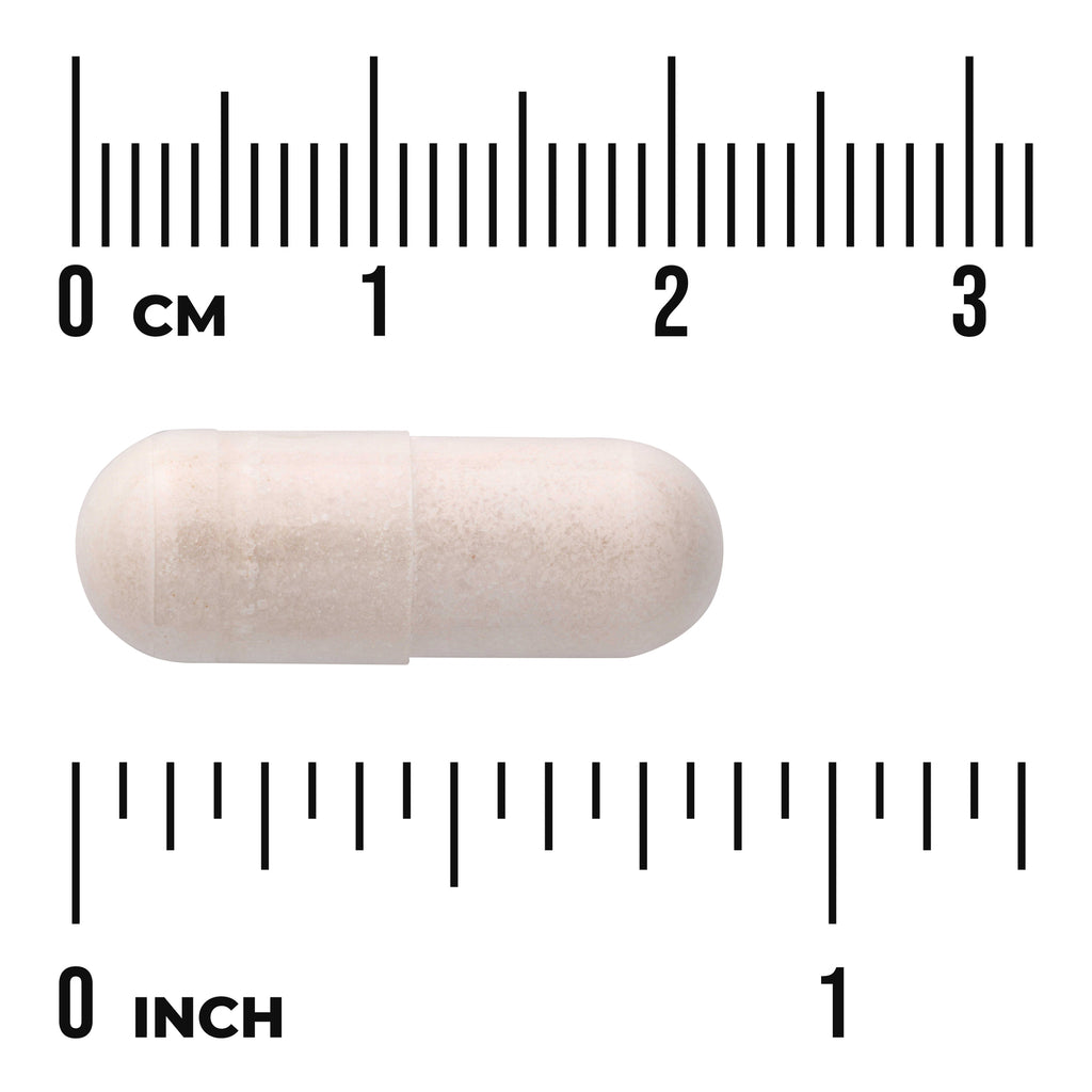 SW847 | Capsule size shown against centimeter and inch rulers - Thumbnail