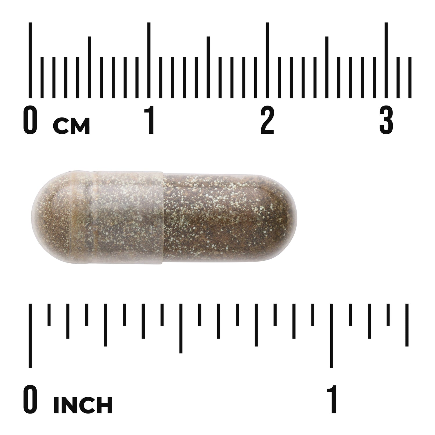 SWH247 | Brown supplement capsule with size rulers in centimeters and inches