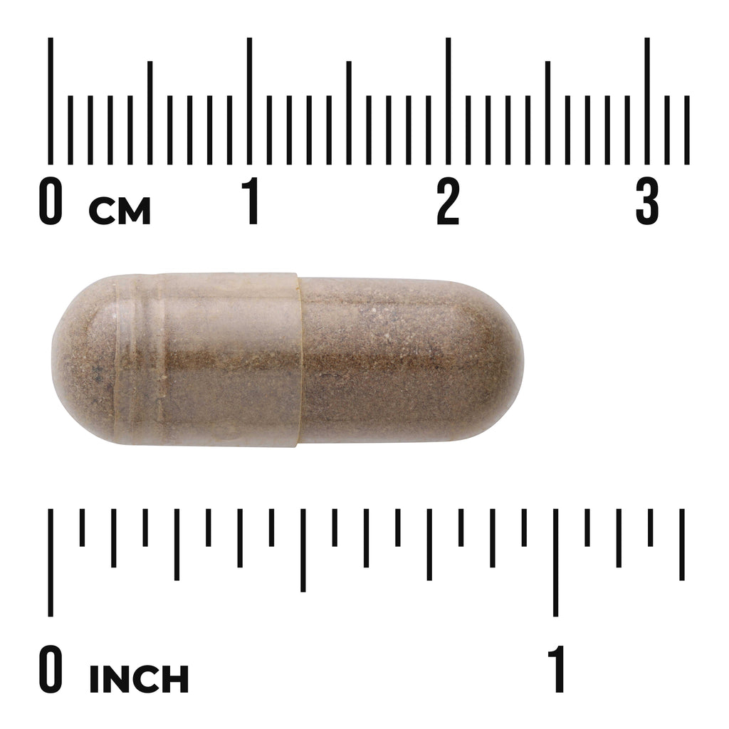 SW324 | Brown capsule with size ruler labeled CM and INCH - Thumbnail