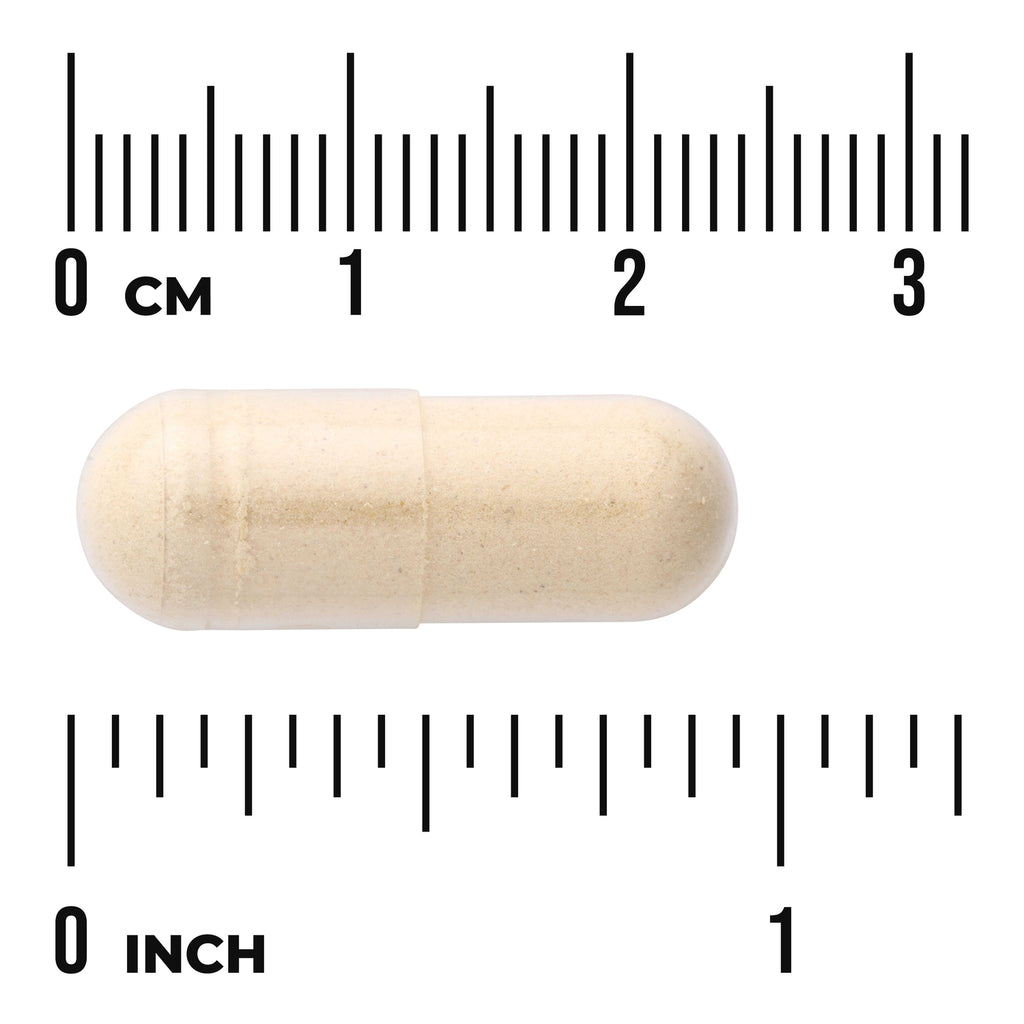 SWP013 | Beige capsule photographed with centimeter and inch rulers to show actual size - Thumbnail