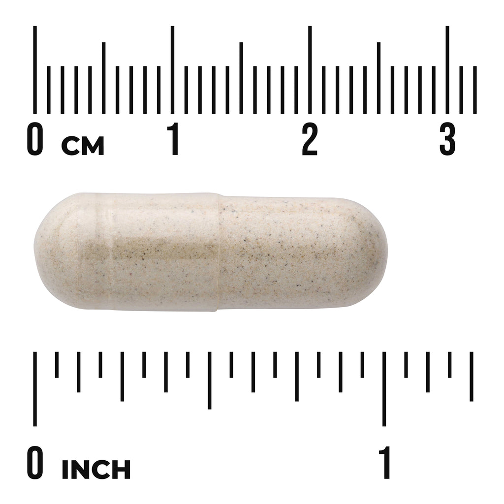 SWD090 | Beige capsule shown against cm and inch rulers for size reference - Thumbnail