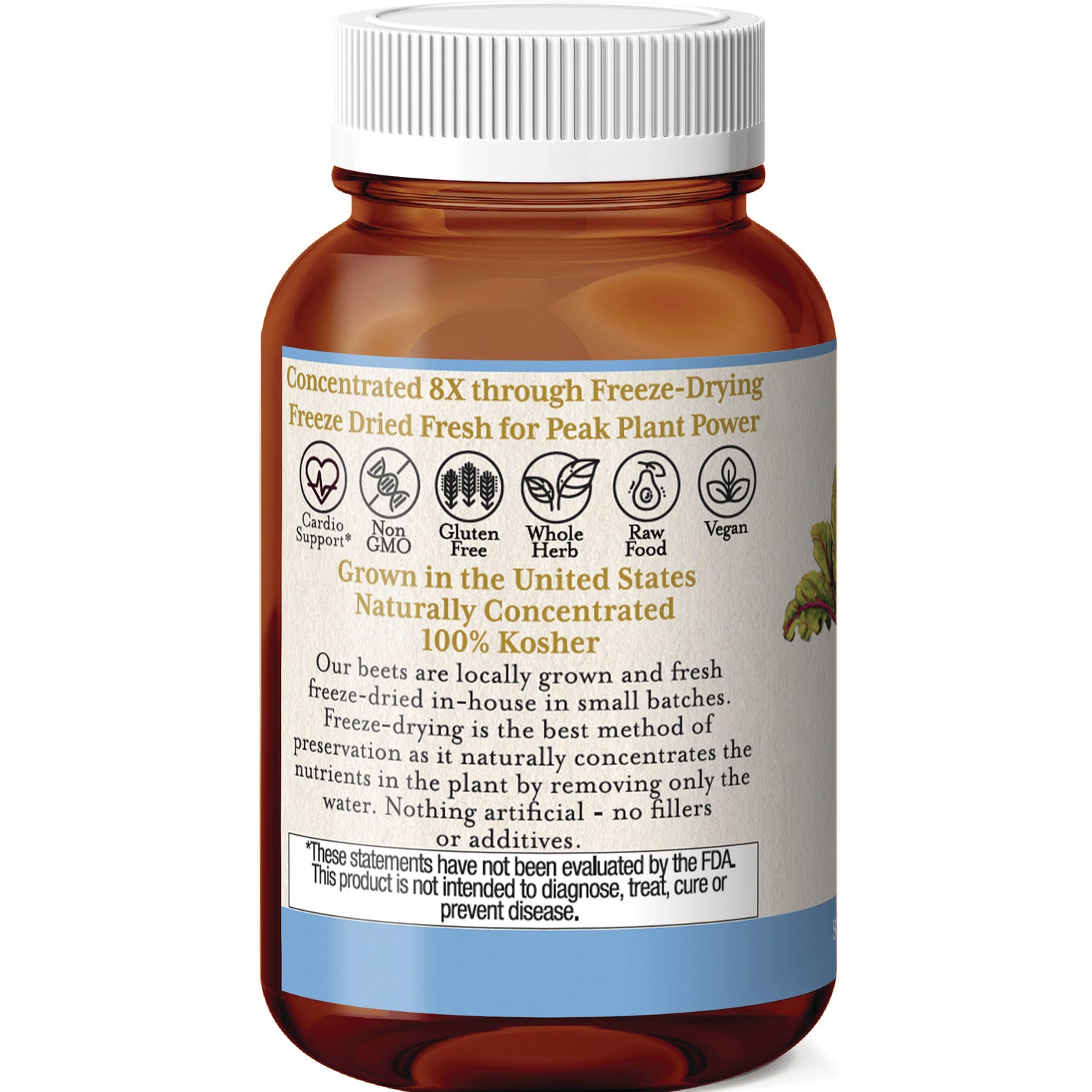 EC020 | back label of amber supplement bottle with freeze-dried claim, icons for non-GMO, gluten free, vegan, and 100% Kosher