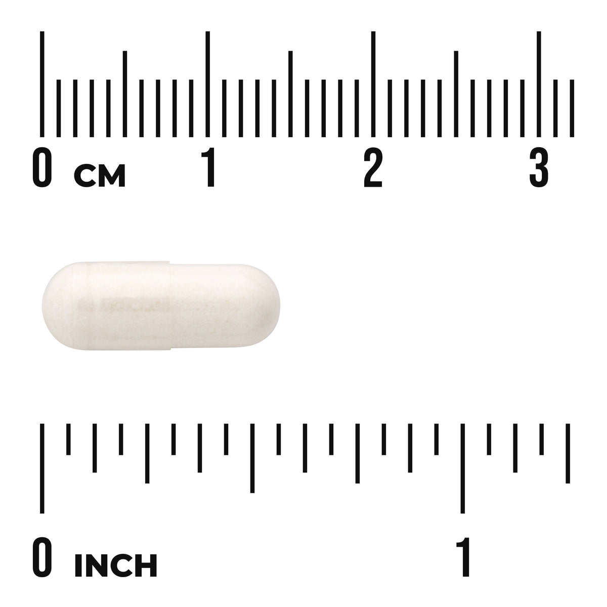 SW1527 | White capsule shown with cm and inch rulers for size reference