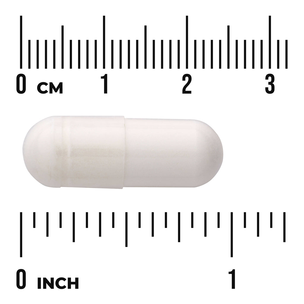 SWU292 | White capsule with cm and inch rulers for size reference - Thumbnail