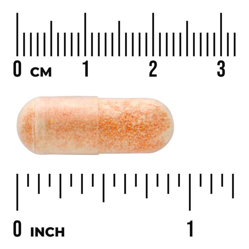 SWU035 | Orange capsule shown to scale with rulers in centimeters and inches - Thumbnail