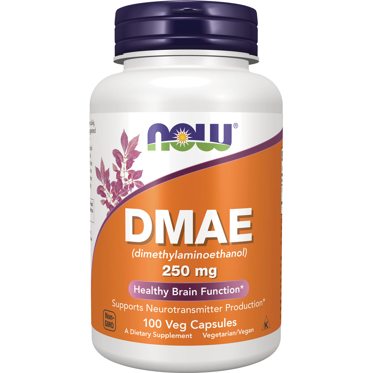 NWF741 | NOW DMAE 250 mg white bottle labeled DMAE (dimethylaminoethanol), 100 veg capsules dietary supplement