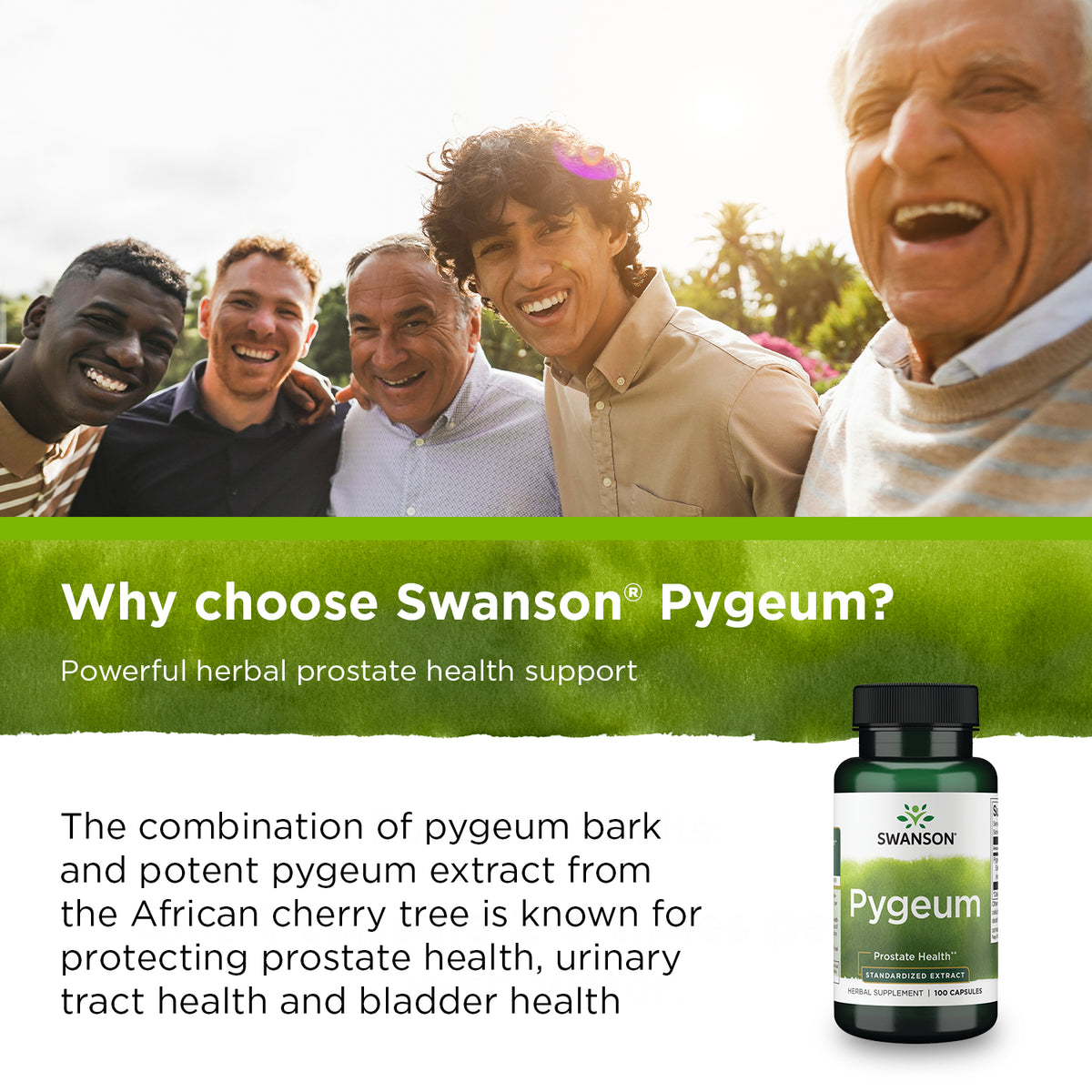 Pygeum - Standardized Extract