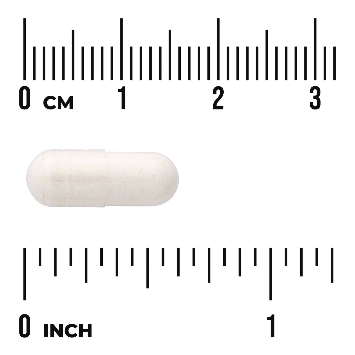 SW1804 | White capsule with size scale: 03 cm and 01 inch rulers