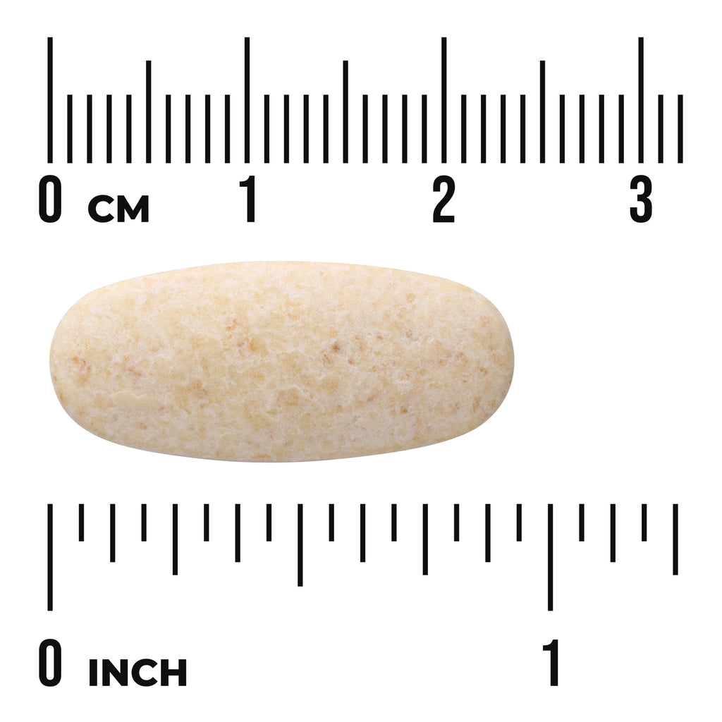 SWG21 | Oval beige tablet on ruler background showing 03 cm and 01 inch scales - Thumbnail