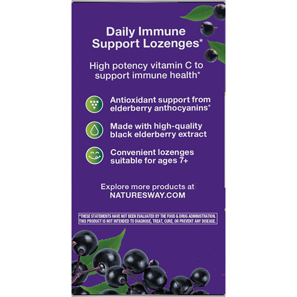 NW662 | product infographic listing black elderberry benefits, immune support, premium elderberries, superior quality