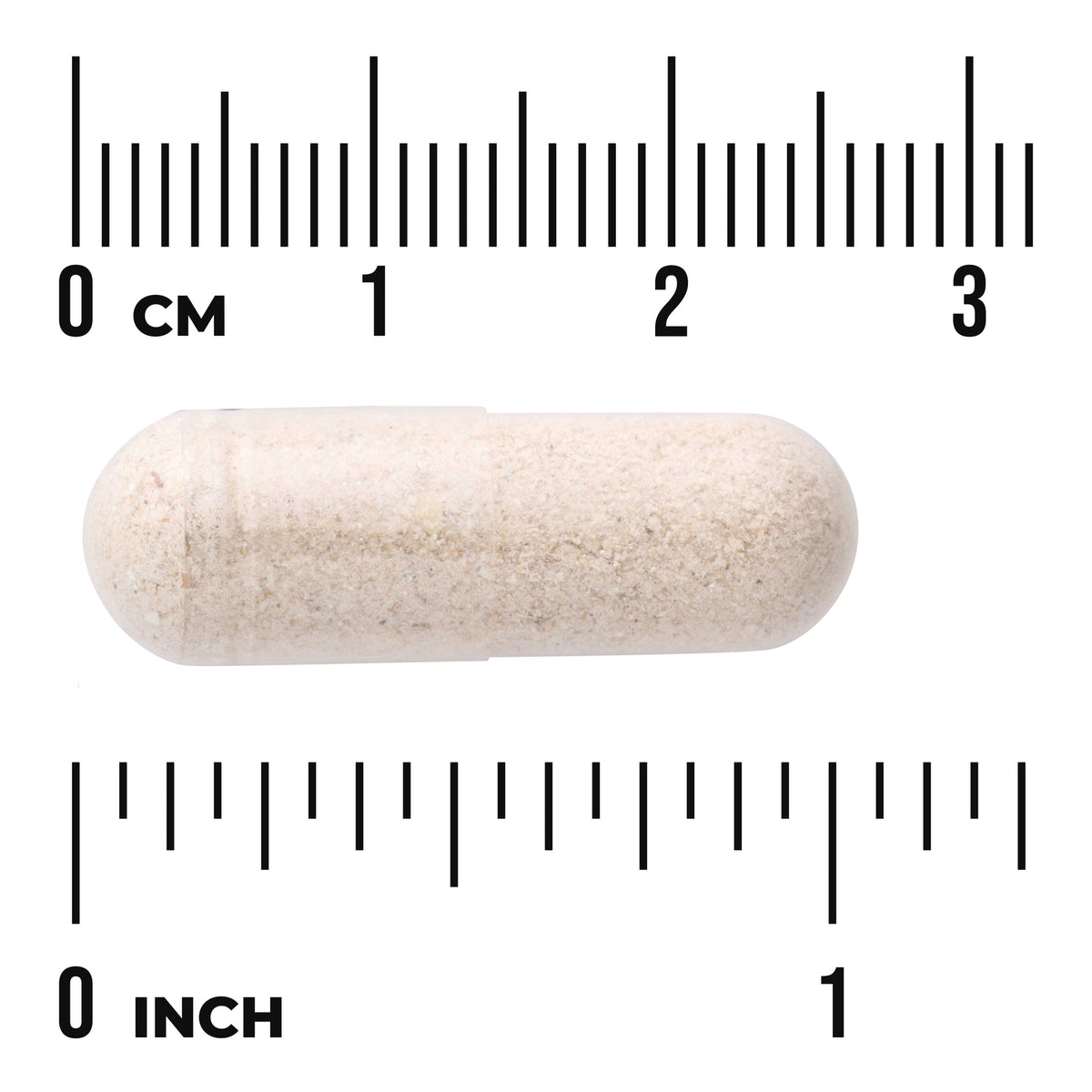 SW993 | Beige capsule shown to scale with cm and inch rulers